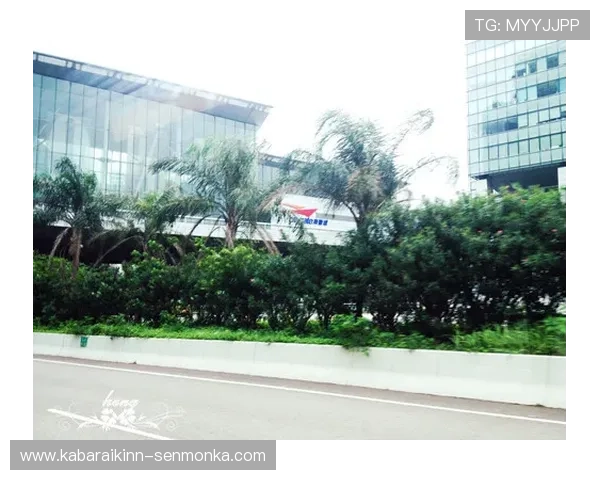 澳门金龙娱乐官网入口最新入口地址，提供稳定安全的游戏环境保障